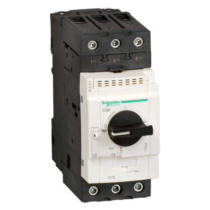GV3L65 - Disjuntor Magnetico Everlink 3p 65a Manopla Rotativa